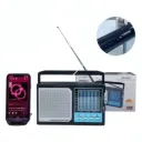 Enceinte Bluetooth Multi-Bandes FEPE FP-818 avec Radio thumbnail 1