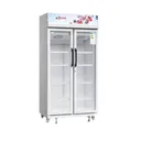 Réfrigérateur vitrine Astech FV740DD-GR - 700 L thumbnail 5