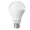 Ampoule LED E27 9W lumière du jour 6500K thumbnail 1