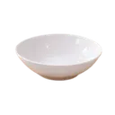 Saladier Incassable thumbnail 1
