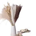 Herbe de Pampa Artificielle – Lot de 68 Tiges Décoratives thumbnail 1