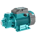 Pompe Périphérique Haute Performance - 750 W thumbnail 1