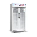 Réfrigérateur Astech Vitrine FV590VD thumbnail 1