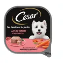 Cesar – Pâtée pour Chien Adulte Terrine Veau & Carottes – 300 g thumbnail 1