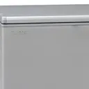 Congelateur Finix Horizontal 2 portes 800 litres Gris BDW600 thumbnail 2