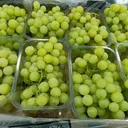 Raisin Vert Avec Pépins (Carton 8 kg) thumbnail 1