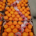 Orange Maroc (Carton 15 kg) thumbnail 1