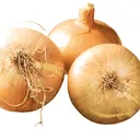 OIGNON BLANC IMPORT/KG thumbnail 1