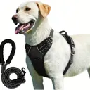 Harnais Réfléchissants pour Chien + Laisse 1,5m – Lot de 2, Réglables et Confortables thumbnail 1
