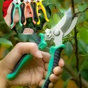 Sécateur Jardin Acier Inoxydable + Gant – Coupe-Fleurs & Fruits thumbnail 1