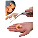 Éplucheur Crevettes Inox – Rapide & Précis thumbnail 1