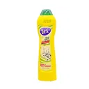 Tex Crème à récurer jaune 750G thumbnail 1