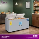 Congelateur Roch Horizontal 800LITRES RCF750DD thumbnail 3