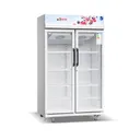 Réfrigérateur vitrine Astech FV740DD-GR - 700 L thumbnail 2