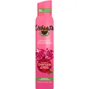 USHUAIA Grenade du Maroc – Déodorant Spray Efficacité 48 h 200 ml thumbnail 1