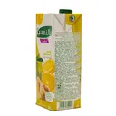 Valencia Essentiel boisson citron gingembre à base de concentré de jus de fruits thumbnail 1
