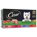 Pâtée pour chien aux légumes Cesar 4 x 300 g thumbnail 1