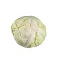 CHOU BLANC IMPORT /KG thumbnail 1