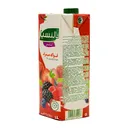 Valencia jus de fruits rouge brique 1L thumbnail 1