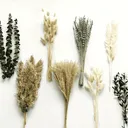 Herbe de Pampa Artificielle Boho – Lot Déco Maison thumbnail 1