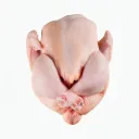 Poulet De Chaire thumbnail 1