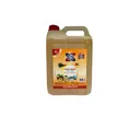 NETTOYANT MENAGE EXOTIQ G5 5L thumbnail 1