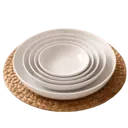 Ensemble 5 Assiettes de table Incassable thumbnail 1
