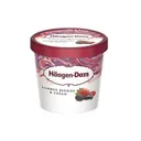 HÄAGEN-DAZS – Mini Cup Summer Berries & Cream – 95 ml thumbnail 1
