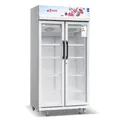 Réfrigérateur vitrine Astech FV740DD-GR - 700 L thumbnail 4