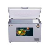 CONGELATEUR ELACTRON HORIZONTAL 400LITRES SILVER EL108CFS thumbnail 4