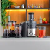 Mixeur et Extracteur de Jus GEEPAS GSB44016 - 4 en 1 Acier Inoxydable thumbnail 1