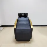 Fauteuil Lave Tête W-S007-1 - Confort Optimal thumbnail 1