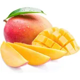 MANGUE KENT /KG thumbnail 1