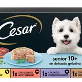 Cesar – Nourriture Humide pour Chiens Senior – Lot de 10 (4 x 150 g) thumbnail 1