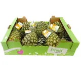 Ananas Côte d’Ivoire (Carton 12 à 14 pièces) thumbnail 1