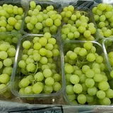 Raisin Vert Avec Pépins (Carton 8 kg) thumbnail 1