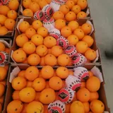 Orange Maroc (Carton 15 kg) thumbnail 1