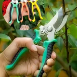 Sécateur Jardin Acier Inoxydable + Gant – Coupe-Fleurs & Fruits thumbnail 1