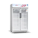 Réfrigérateur vitrine Astech FV740DD-GR - 700 L thumbnail 2