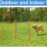 Kit d'entraînement d'agilité pour chien – Obstacle de démarrage thumbnail 1