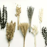 Herbe de Pampa Artificielle Boho – Lot Déco Maison thumbnail 1
