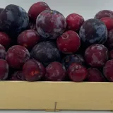 Prune (Carton 6 kg) thumbnail 1