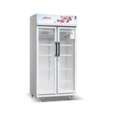 Réfrigérateur vitrine Astech FV740DD-GR - 700 L thumbnail 1