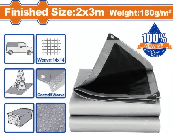 Tarp