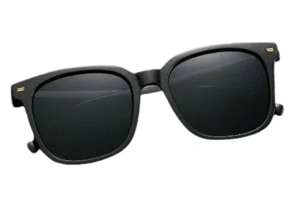 Lunettes de Soleil Classiques Homme – Style Intemporel