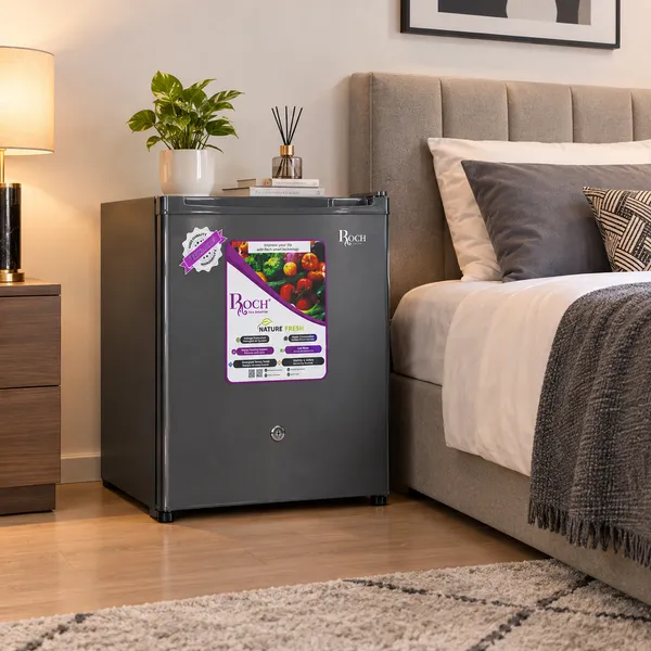 Refrigerateur Roch Bar 1 portes Gris RFR60SI