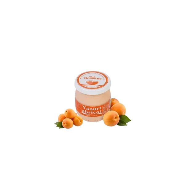 YAOURT ABRI CLUB TIOSSANE 125G