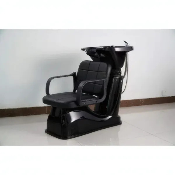 Chaise Lave Tête Professionnelle W-S012