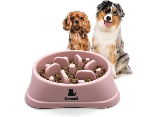 Gamelle Anti Glouton pour Chats et Chiens - Rose avec Picots