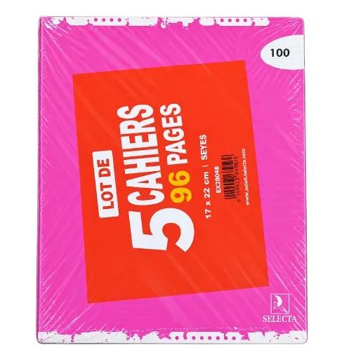 Lot de 5 cahiers piqués 17 x 22 96 pages séyès